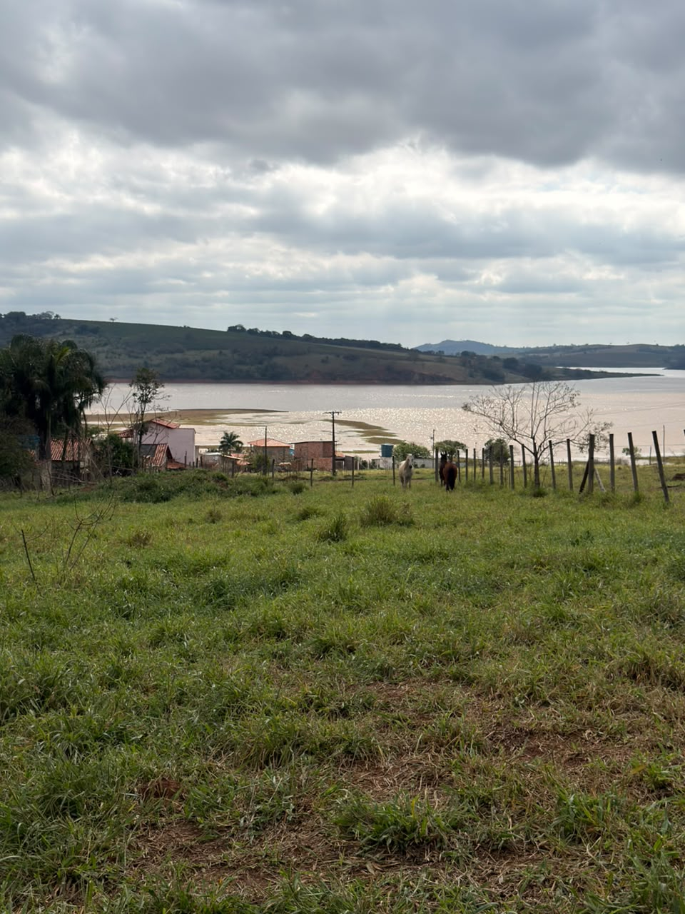 frente