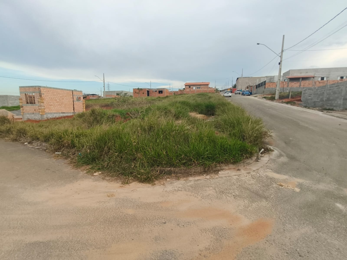 frente