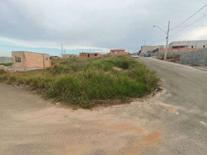 frente